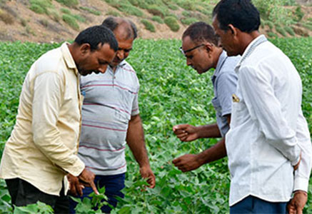 Wel Krishi Program to support Farmers